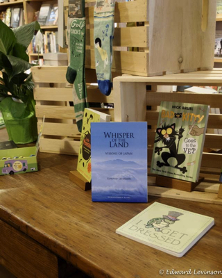 Edward_Levinson book-3030937