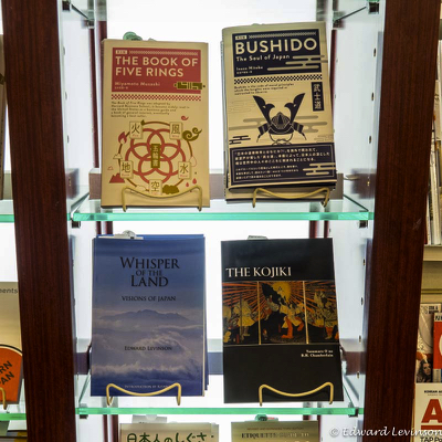 Edward_Levinson yaesu3-100683