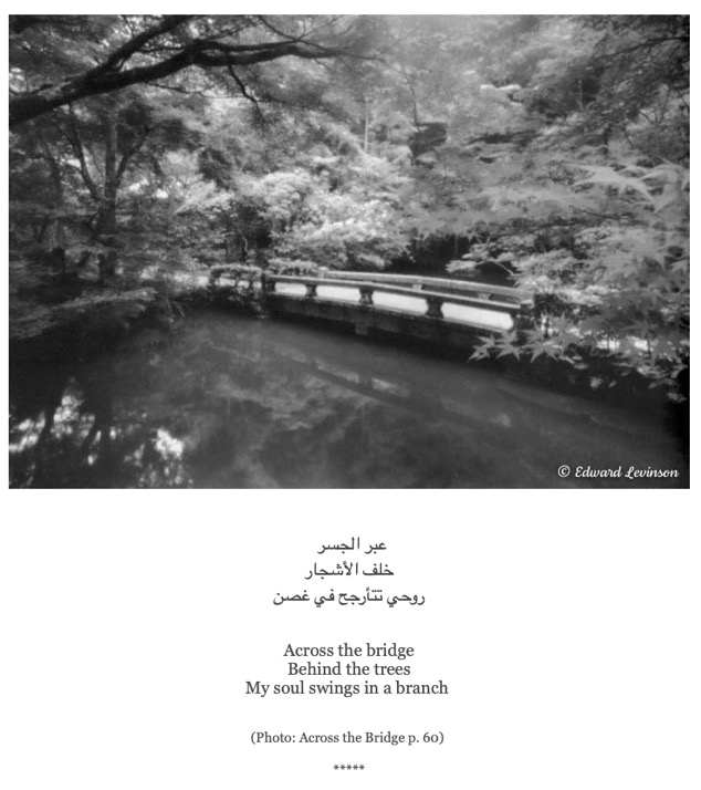 karem haik and photo for FB